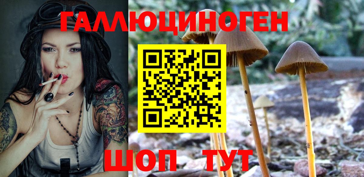 Псилоцибиновые грибы прущие грибы Дедовск